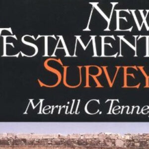book cover new testament survey
